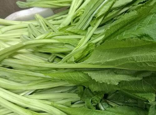 蔬菜品種：春菜