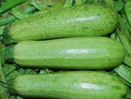 1760177156.jpg 2019111915741686754579.jpg