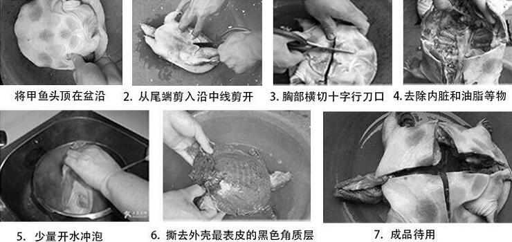 1760257134.jpg tupian_jiayu2.jpg